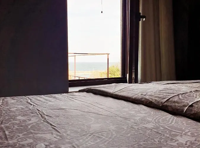 Zig Zag 5- Old Town *