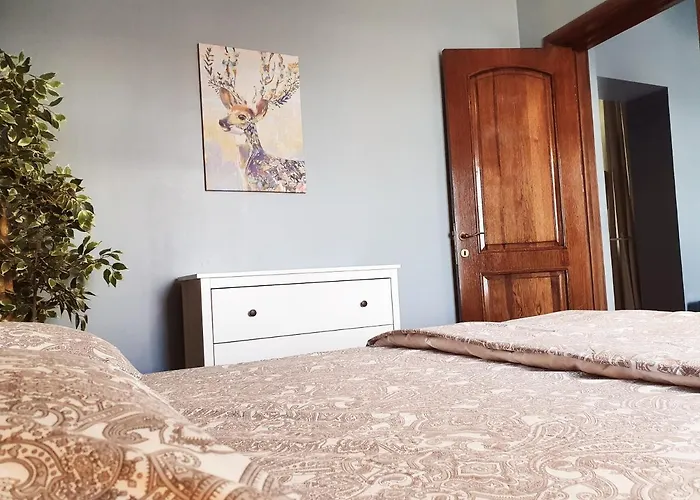 Zig Zag 5- Old Town *